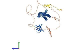 Protein Structure (PS) image for BAI1-Associated Protein 2 (BAIAP2) (AA 1-535) protein (His tag) (ABIN7564381)
