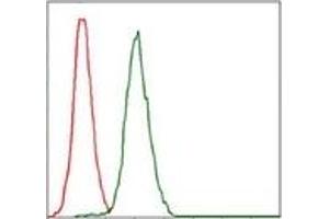 Flow Cytometry (FACS) image for anti-Replication Protein A1, 70kDa (RPA1) antibody (ABIN1108896) (RPA1 antibody)