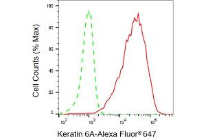 anti-Keratin 6A (KRT6A) antibody
