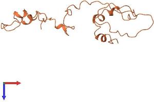 Keratin Associated Protein 9-3 (KRTAP9-3) (AA 1-159) protein (His tag)