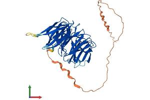 Protein Structure (PS) image for PAK1 Interacting Protein 1 (PAK1IP1) (AA 1-382) protein (His tag) (ABIN7561331)