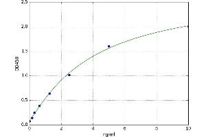 A typical standard curve
