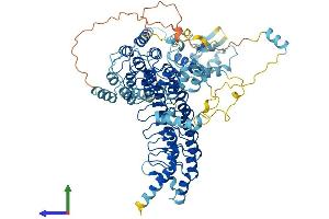 AlphaFold protein structure predicition of Mouse Recombinant Ankef1 Protein, UniprotID Q9D2J7