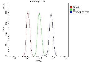 Flow Cytometry analysis of HepG2 cells using anti-CTHRC1 antibody (ABIN7601256). (CTHRC1 antibody  (AA 31-243))