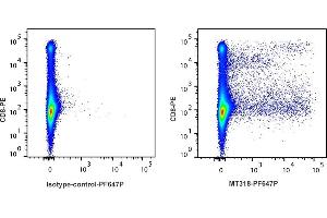 Detection of IFN-γ by flow cytometry in viable rabbit spleen cells. (Interferon gamma antibody  (PromoFluor 647 Premium))