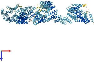 AlphaFold protein structure predicition of Mouse Recombinant Ttc21b Protein, UniprotID Q0HA38