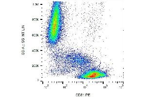 Surface staining of CD81 in human peripheral blood with anti-CD81 (M38) PE. (CD81 antibody  (PE))