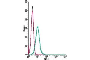 anti-Histamine Receptor H4 (HRH4) (AA 75-87), (Extracellular) antibody