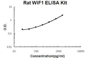WIF1 Kit ELISA