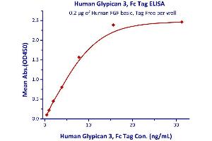 Measured by its binding ability in a functional ELISA. (Glypican 3 Protein (GPC3) (AA 25-559) (Fc Tag))