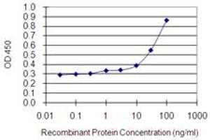Detection limit for recombinant GST tagged MYO1E is 0. (MYO1E antibody  (AA 918-1014))