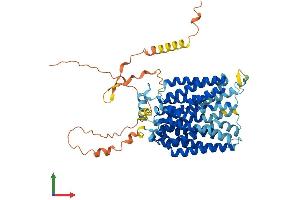 AlphaFold protein structure predicition of Human Recombinant SLC17A6 Protein, UniprotID Q9P2U8 (Solute Carrier Family 17 (Vesicular Glutamate Transporter), Member 6 (SLC17A6) (AA 1-582) protein (His tag))