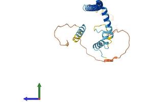 AlphaFold protein structure predicition of Human Recombinant CLTB Protein, UniprotID P09497 (CLTB Protein (AA 1-229) (His tag))