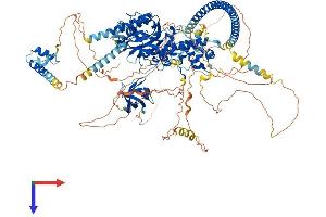 Cell Division Cycle and Apoptosis Regulator 1 (CCAR1) (AA 1-1146) protein (His tag)