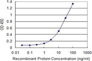 Detection limit for recombinant GST tagged PKNOX1 is 0. (PKNOX1 antibody  (AA 1-436))