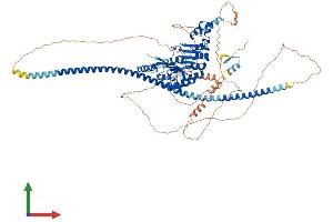 Protein Structure (PS) image for F-Box Protein 41 (FBXO41) (AA 1-873) protein (His tag) (ABIN7557946)