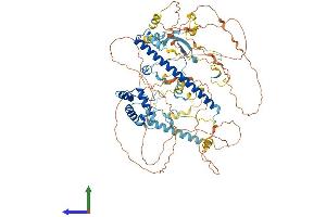 AlphaFold protein structure predicition of Mouse Recombinant Epc1 Protein, UniprotID Q8C9X6
