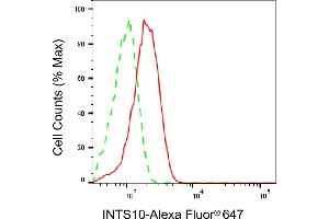 anti-Integrator Complex Subunit 10 (INTS10) antibody