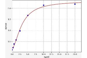 Typical standard curve