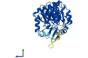 AlphaFold protein structure predicition of Mouse Recombinant Cryzl1 Protein, UniprotID Q921W4 (CRYZL1 Protein (AA 1-348) (His tag))