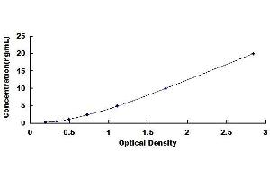 Fructosamine 3 Kinase (FN3K) ELISA Kit