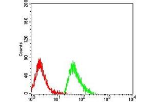 Flow cytometric analysis of MOLT4 cells using CD368 mouse mAb (green) and negative control (red). (CLEC4D antibody  (AA 39-215))