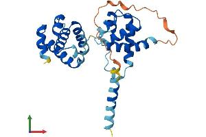 AlphaFold protein structure predicition of Human Recombinant ORC6 Protein, UniprotID Q9Y5N6 (ORC6 Protein (AA 1-252) (His tag))