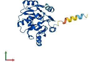 AlphaFold protein structure predicition of Human Recombinant EIF6 Protein, UniprotID P56537 (EIF6 Protein (AA 1-245) (His tag))