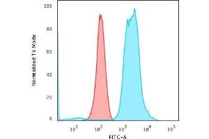 Flow Cytometric Analysis of PFA-fixed K562 cells using Fascin-1 Mouse Monoclonal Antibody (FSCN1/416) followed by Goat anti-Mouse IgG-CF488 (Blue); Isotype Control (Red) (Fascin antibody)