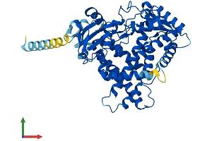 AlphaFold protein structure predicition of Mouse Recombinant Cyp2b9 Protein, UniprotID P12790 (Cyp2b9 Protein (AA 1-491) (His tag))