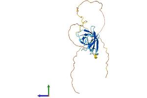 AlphaFold protein structure predicition of Human Recombinant GAR1 Protein, UniprotID Q9NY12 (GAR1 Protein (AA 1-217) (His tag))