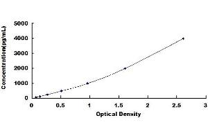 Typical standard curve (CXCL12 ELISA Kit)