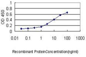 Detection limit for recombinant GST tagged DC-UbP is approximately 0. (UBTD2 antibody  (AA 1-190))
