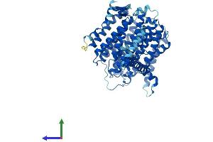 AlphaFold protein structure predicition of Human Recombinant MT-ND5 Protein, UniprotID P03915 (MT-ND5 Protein (AA 1-603) (His tag))