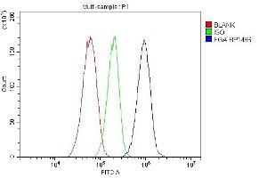Flow Cytometry analysis of HepG2 cells using anti-FGA antibody (ABIN7600004). (FGA antibody  (AA 139-784))