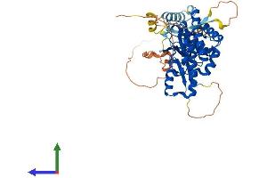 Protein Structure (PS) image for Phosphatidylinositol 4-Kinase Type 2 beta (PI4K2B) (AA 1-481) protein (His tag) (ABIN7550569)