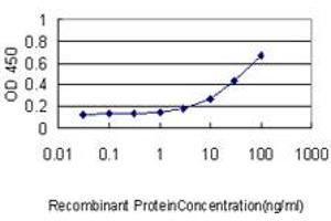 Detection limit for recombinant GST tagged ZAK is approximately 0. (ZAK antibody  (AA 1-455))