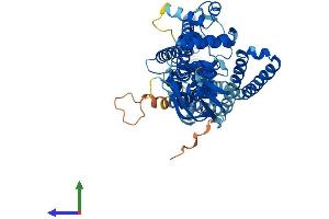 AlphaFold protein structure predicition of Human Recombinant ABCD4 Protein, UniprotID O14678 (ABCD4 Protein (AA 1-606) (His tag))