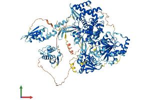 Protein Structure (PS) image for DEAH (Asp-Glu-Ala-His) Box Polypeptide 30 (DHX30) (AA 1-1194) protein (His tag) (ABIN7553691)