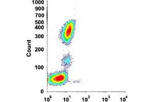 Flow cytometric analysis of human normal whole blood with FCER2 monoclonal antibody, clone EBVCS-5 (FITC) .