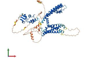AlphaFold protein structure predicition of Human Recombinant KCNA3 Protein, UniprotID P22001 (KCNA3 Protein (AA 1-575) (His tag))