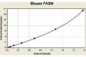 Diagramm of the ELISA kit to detect Mouse FASNwith the optical density on the x-axis and the concentration on the y-axis. (Fatty Acid Synthase ELISA Kit)