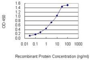 Detection limit for recombinant GST tagged P4HA3 is 0. (P4HA3 antibody  (AA 66-165))