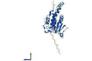 AlphaFold protein structure predicition of Mouse Recombinant Styx Protein, UniprotID Q60969 (STYX Protein (AA 1-223) (His tag))