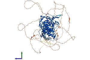 AlphaFold protein structure predicition of Mouse Recombinant Parg Protein, UniprotID O88622 (PARG Protein (PARG) (AA 1-969) (His tag))