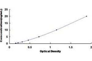 Typical standard curve (S100A10 ELISA Kit)