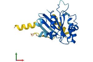 Protein Structure (PS) image for SAR1 Homolog A (SAR1A) (AA 1-198) protein (His tag) (ABIN7563196)