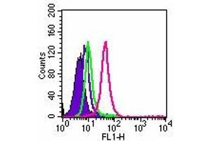 Image no. 2 for anti-Toll-Like Receptor 5 (TLR5) antibody (ABIN208236) (TLR5 antibody)