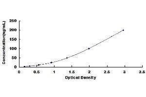 Typical standard curve