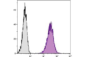 DBA/2 mouse mastocytoma cell line P815 and mB7. (CD80 antibody  (SPRD))